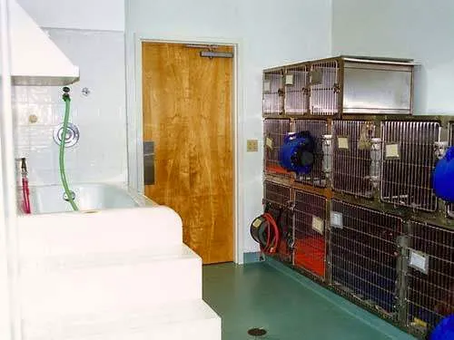 San Pablo Animal Hospital 8