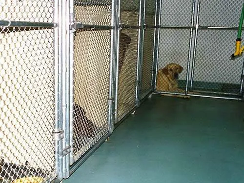 San Pablo Animal Hospital 10