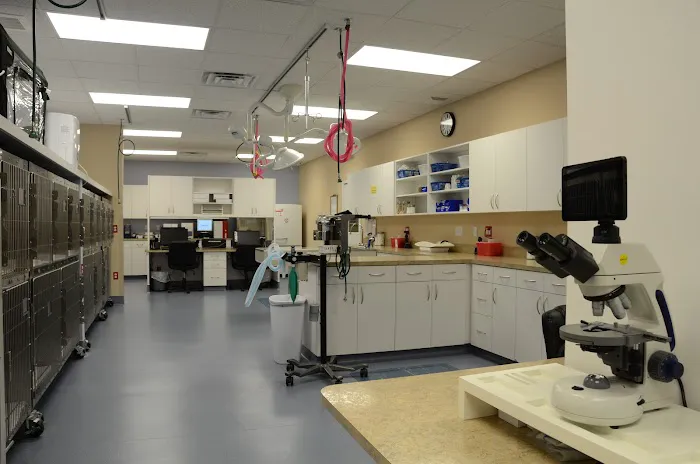 Southeast Veterinary Oncology &Internal Medicine - SEVO-Med (Jacksonville) 12