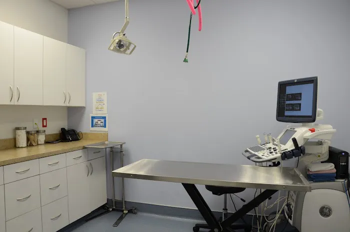 Southeast Veterinary Oncology &Internal Medicine - SEVO-Med (Jacksonville) 12