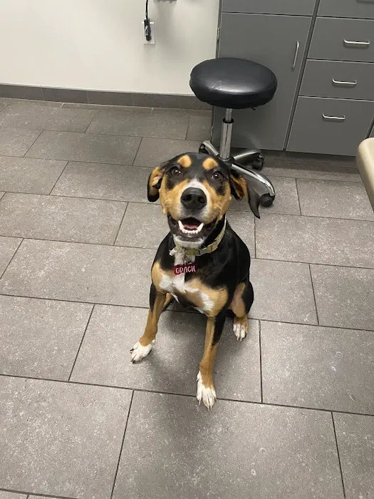 Pablo River Veterinary 12