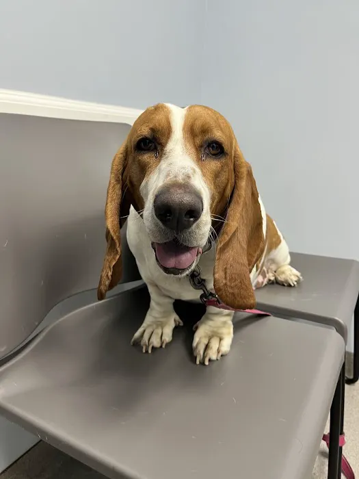 Monument Road Animal Hospital 2