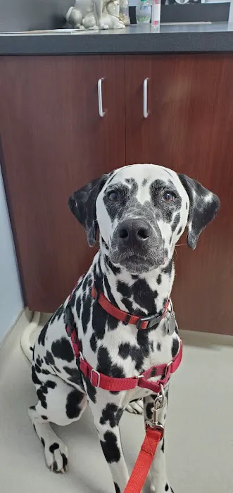 Monument Road Animal Hospital 4