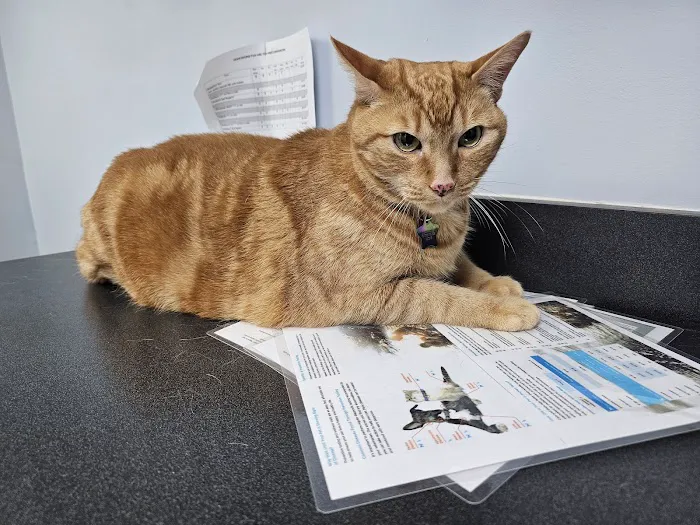 Monument Road Animal Hospital 7