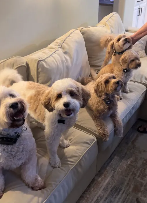 Monument Road Animal Hospital 8