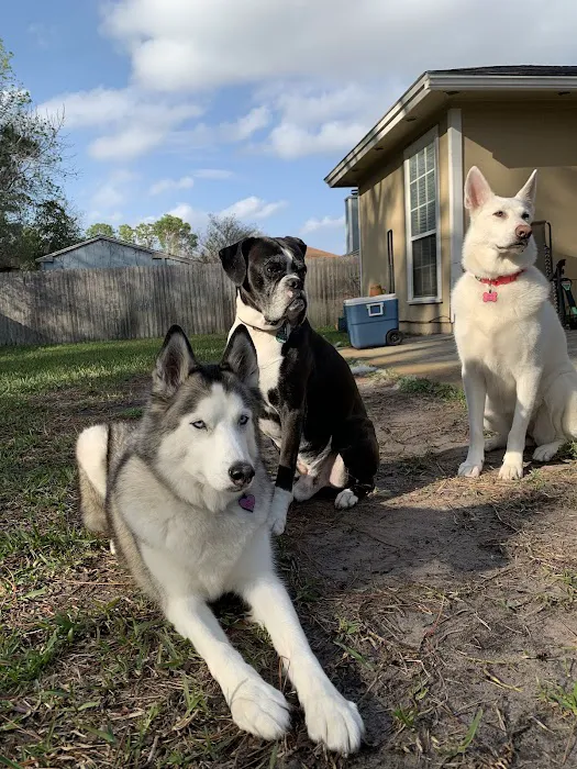 Monument Road Animal Hospital 10