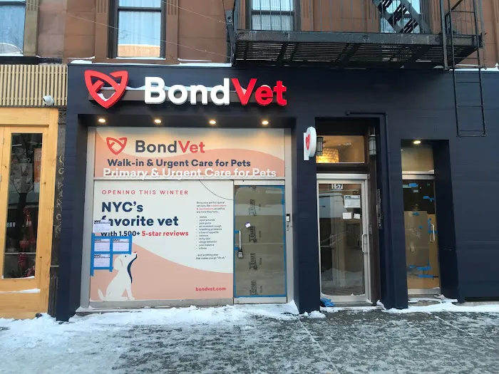 Bond Vet - Park Slope 1