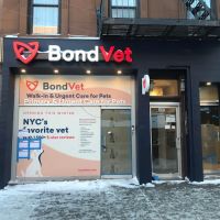 Bond Vet - Park Slope ico