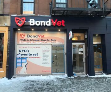 Bond Vet - Park Slope