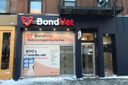 Bond Vet - Park Slope