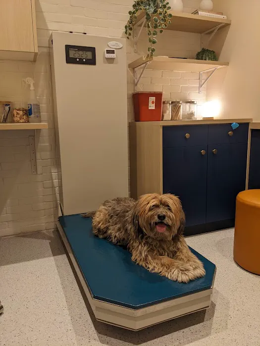 Bond Vet - Park Slope 6
