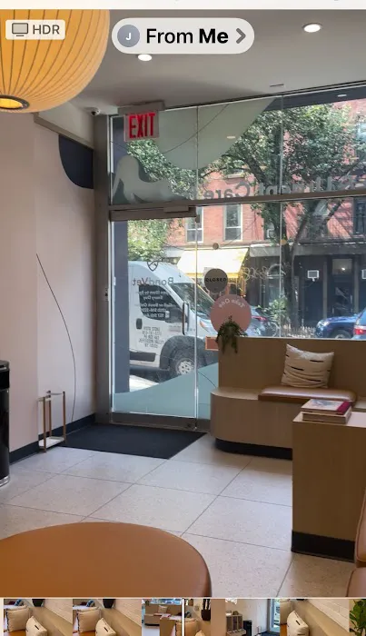 Bond Vet - Park Slope 5