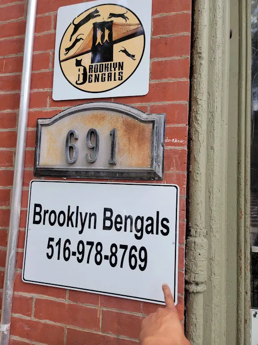 Brooklyn Bengals 12