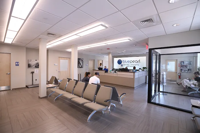 BluePearl Pet Hospital 2