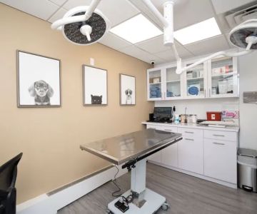 Heart of Chelsea Veterinary Group - Park Slope