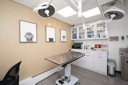 Heart of Chelsea Veterinary Group - Park Slope