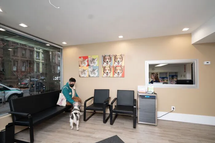 Heart of Chelsea Veterinary Group - Park Slope 4