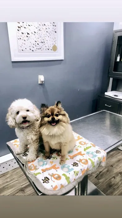 Heart of Chelsea Veterinary Group - Park Slope 7