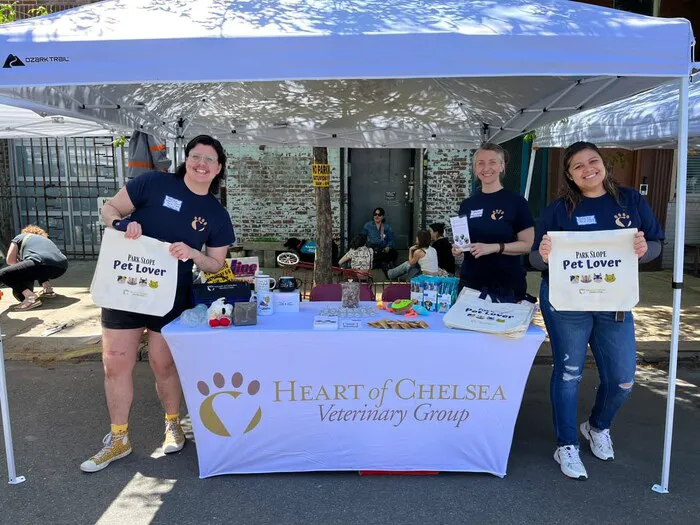 Heart of Chelsea Veterinary Group - Park Slope 8