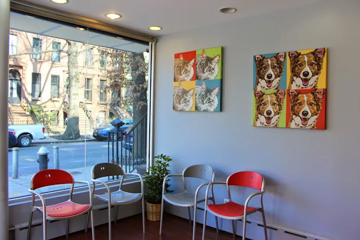 Heart of Chelsea Veterinary Group - Park Slope 9