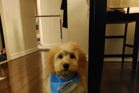 Vetco Vaccination Clinic