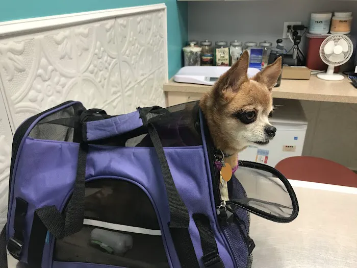 Crown Heights Animal Hospital 5