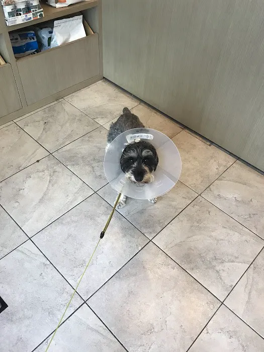 Crown Heights Animal Hospital 9