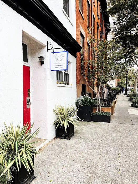 Brooklyn Heights Veterinary Hospital 2