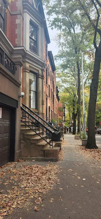 Brooklyn Heights Veterinary Hospital 5