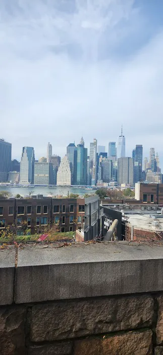 Brooklyn Heights Veterinary Hospital 8