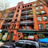 Vinegar Hill Veterinary Group- Brooklyn Heights ico