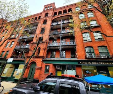 Vinegar Hill Veterinary Group- Brooklyn Heights