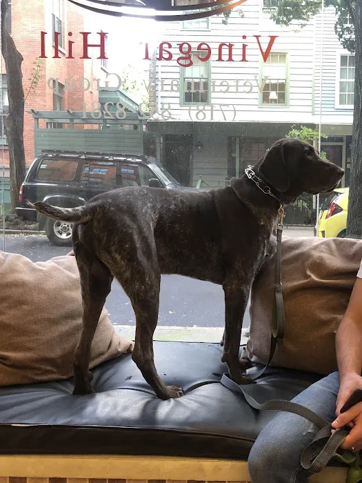 Vinegar Hill Veterinary Group- Brooklyn Heights 5