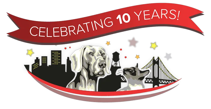 Vinegar Hill Veterinary Group- Brooklyn Heights 10