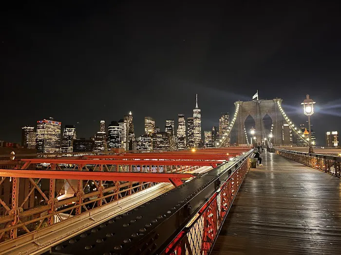 Vinegar Hill Veterinary Group- Dumbo 3