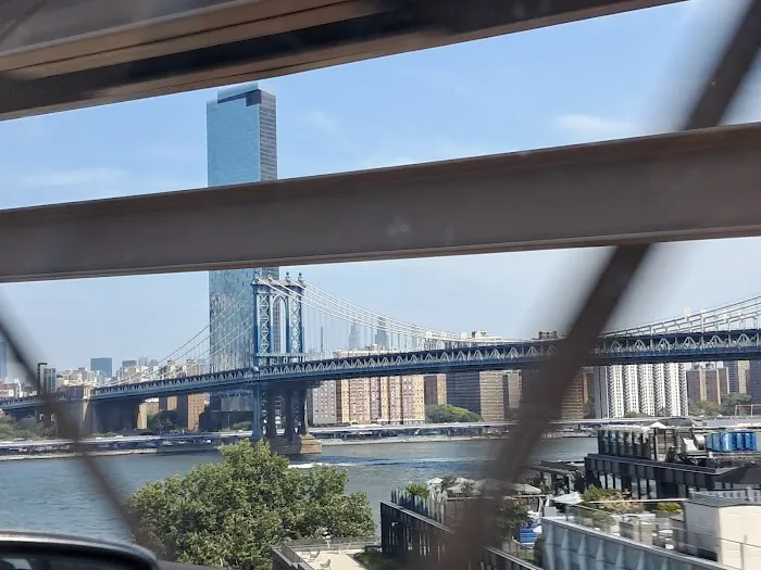 Vinegar Hill Veterinary Group- Dumbo 9