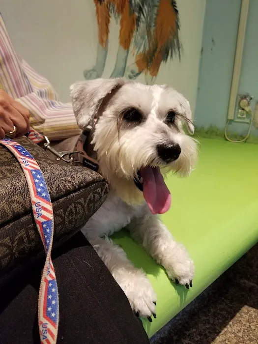 The Humane Society of New York 2