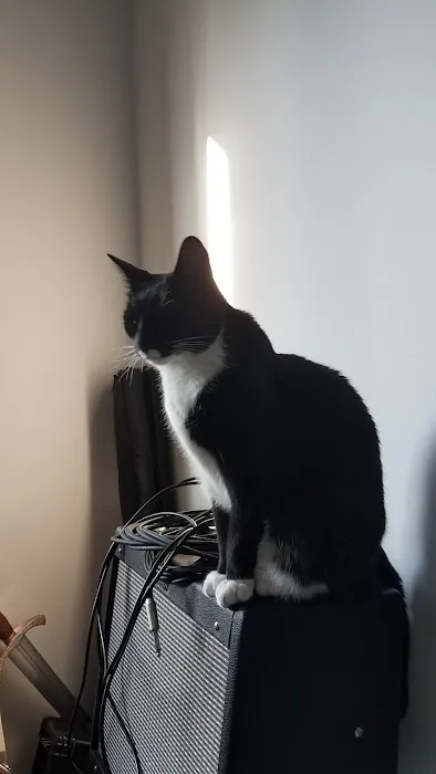 The Humane Society of New York 8