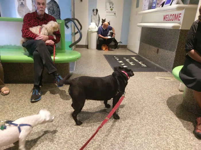 The Humane Society of New York 10