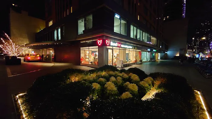 Bond Vet - Upper East Side at 62nd Street 5