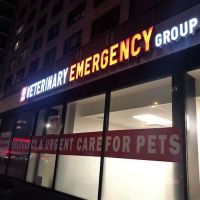 Veterinary Emergency Group ico