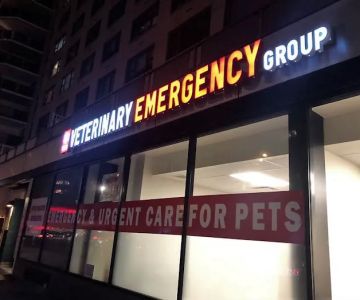 Veterinary Emergency Group