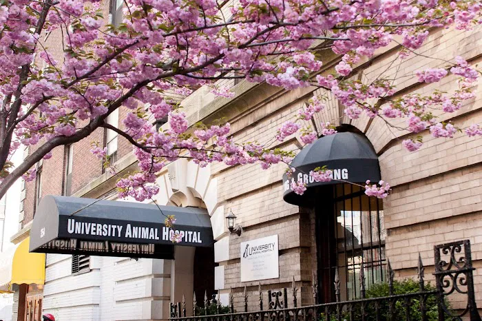 University Animal Hospital 1