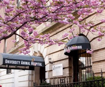 University Animal Hospital