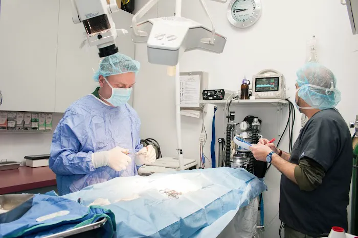 University Animal Hospital 4