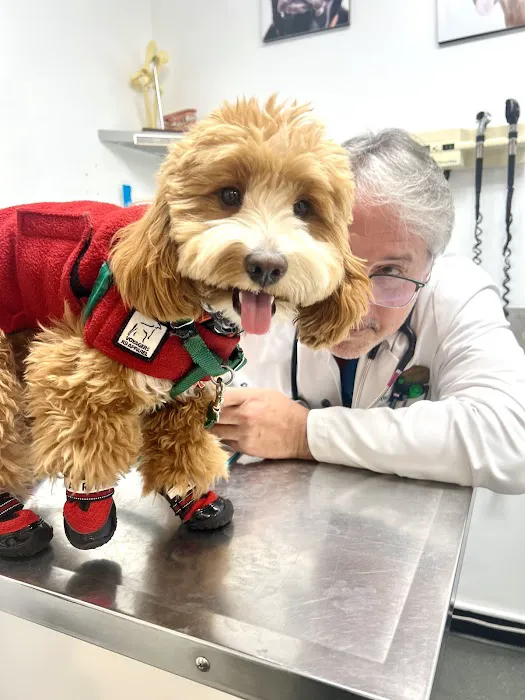 University Animal Hospital 8