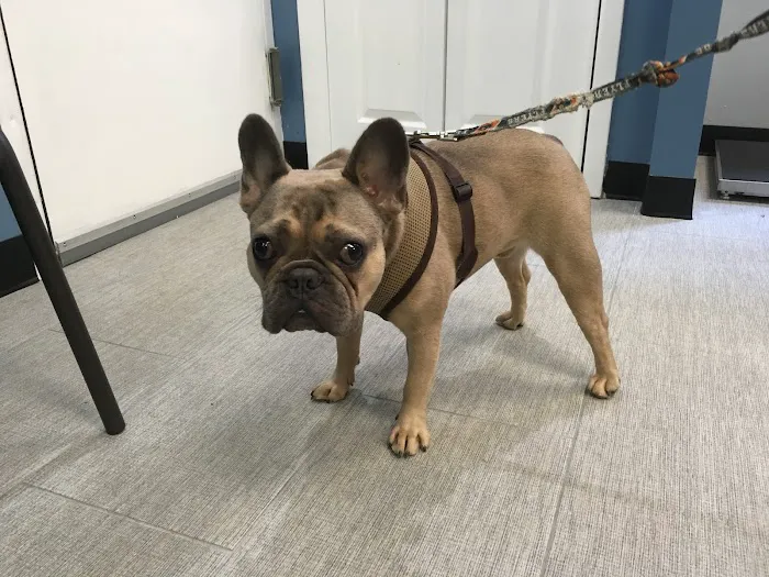 York Veterinary Center 4