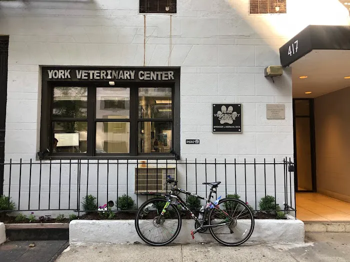 York Veterinary Center 1