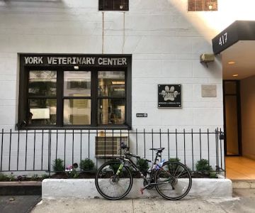 York Veterinary Center