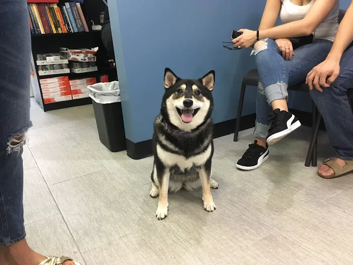 York Veterinary Center 8